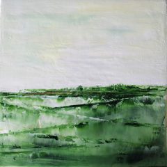 Paddy Fields